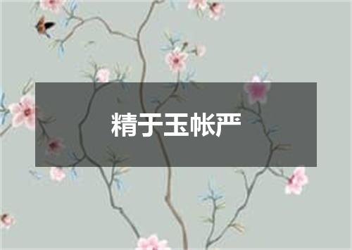 精于玉帐严