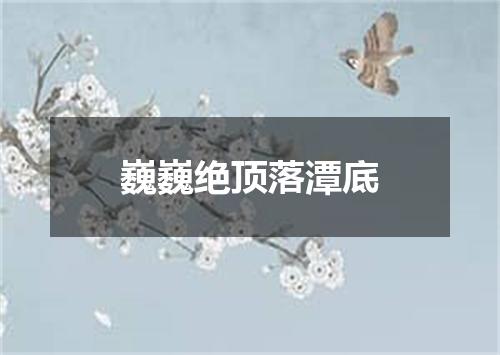 巍巍绝顶落潭底