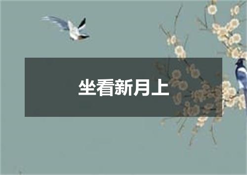 坐看新月上