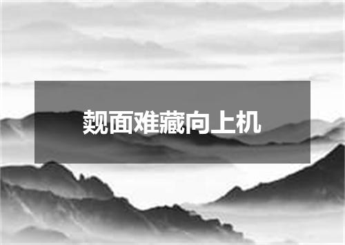 觌面难藏向上机
