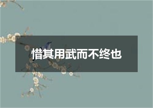 惜其用武而不终也