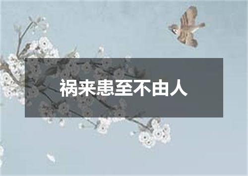 祸来患至不由人