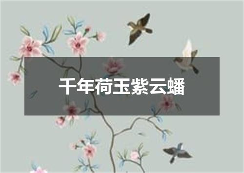 千年荷玉紫云蟠