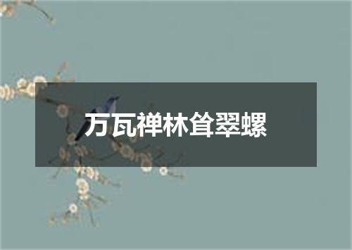 万瓦禅林耸翠螺