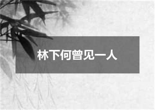 林下何曾见一人