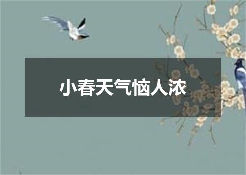 小春天气恼人浓