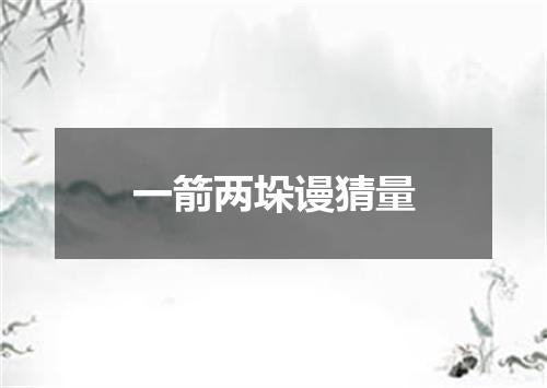 一箭两垛谩猜量