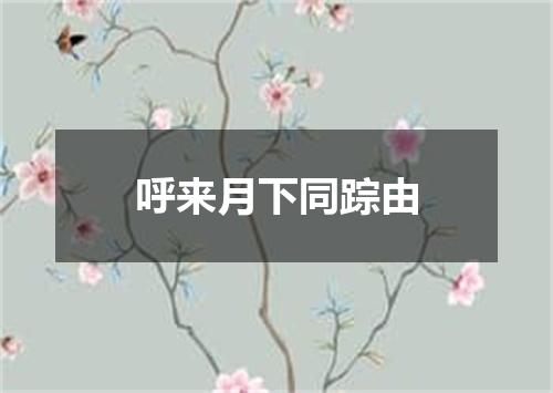 呼来月下同踪由