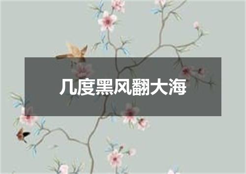 几度黑风翻大海