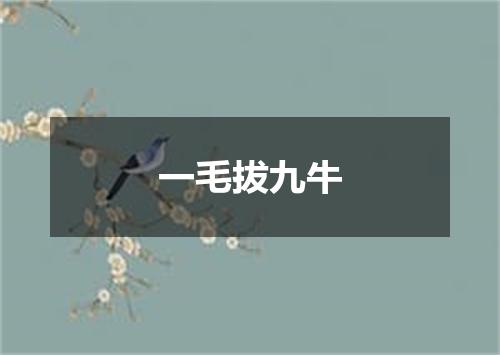 一毛拔九牛