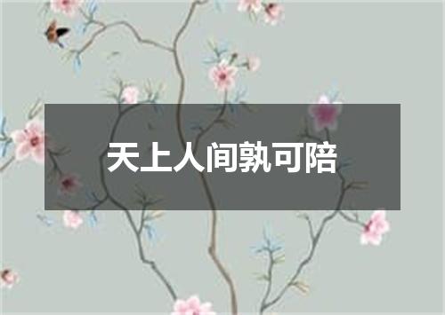 天上人间孰可陪