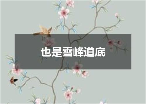 也是雪峰道底