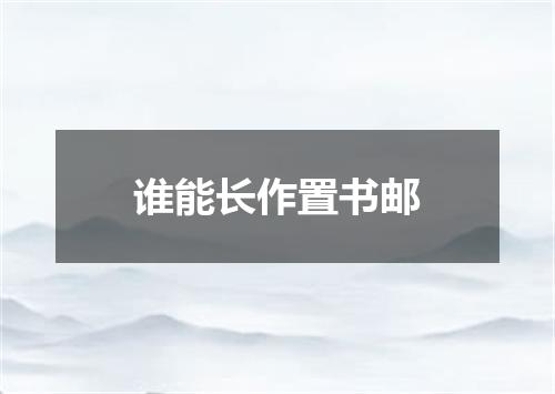谁能长作置书邮