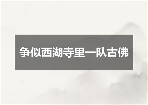 争似西湖寺里一队古佛