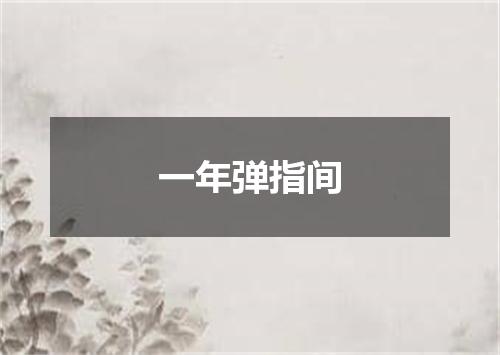 一年弹指间