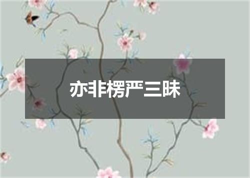 亦非楞严三昧