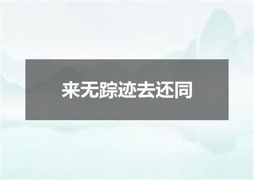 来无踪迹去还同