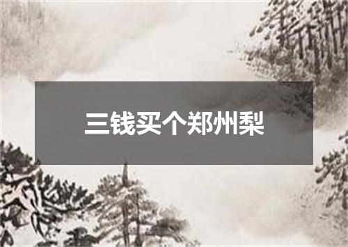 三钱买个郑州梨