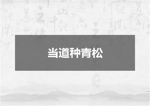 当道种青松
