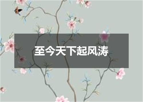 至今天下起风涛
