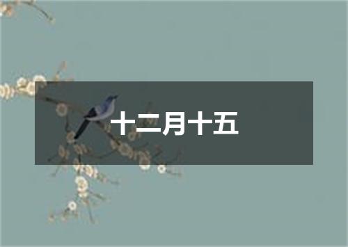 十二月十五