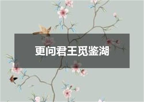 更问君王觅鉴湖