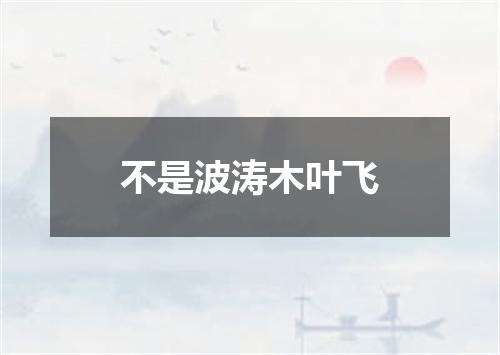 不是波涛木叶飞