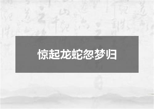 惊起龙蛇忽梦归