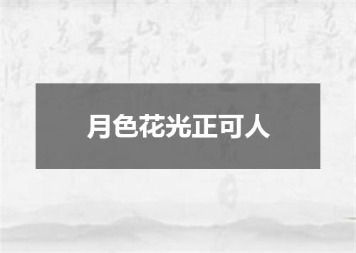 月色花光正可人