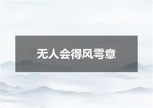 无人会得风雩意