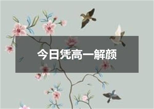 今日凭高一解颜