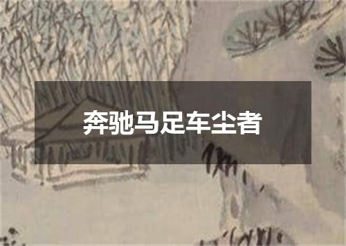 奔驰马足车尘者