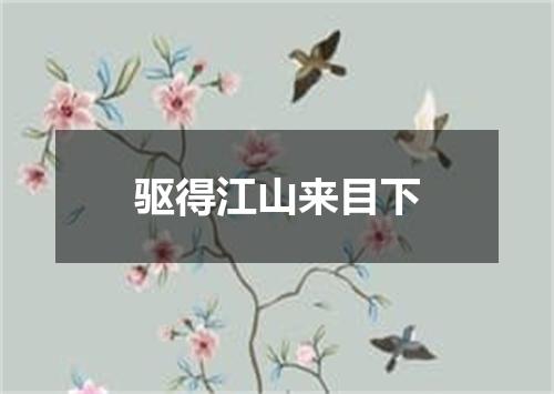 驱得江山来目下