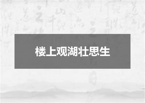 楼上观湖壮思生