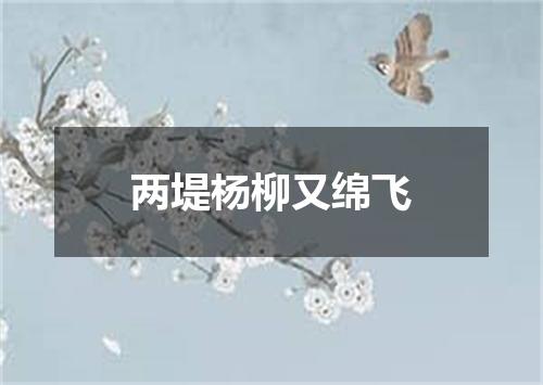 两堤杨柳又绵飞
