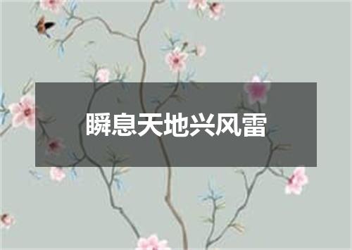 瞬息天地兴风雷
