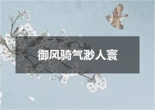 御风骑气渺人寰