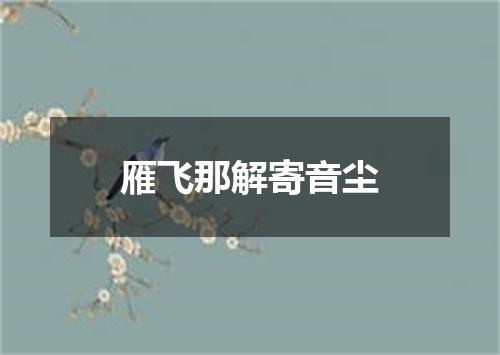 雁飞那解寄音尘