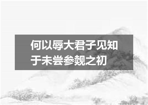 何以辱大君子见知于未尝参觌之初