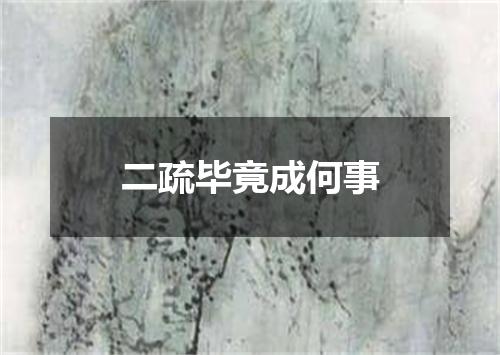 二疏毕竟成何事