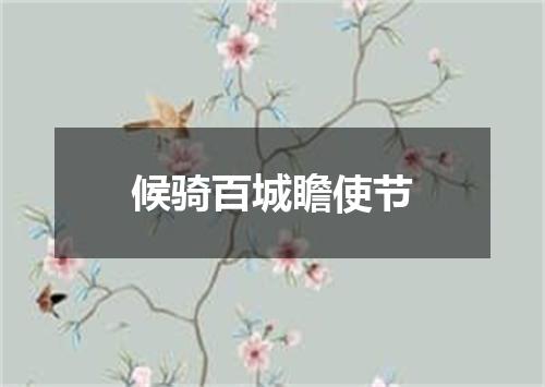 候骑百城瞻使节
