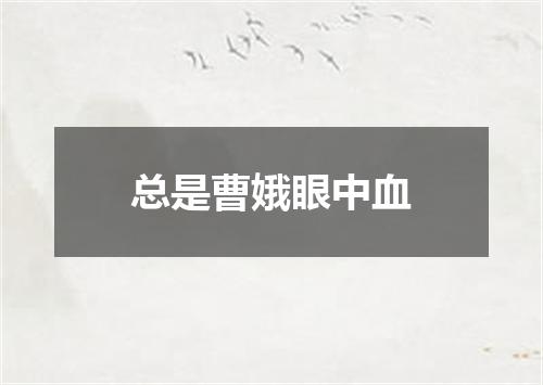 总是曹娥眼中血