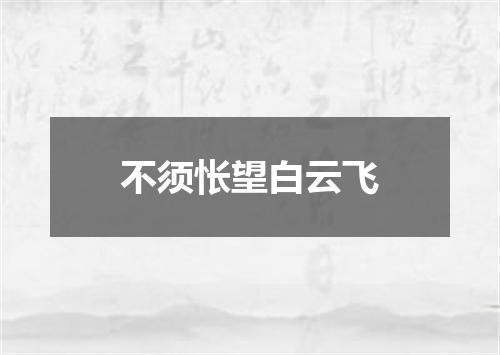 不须怅望白云飞