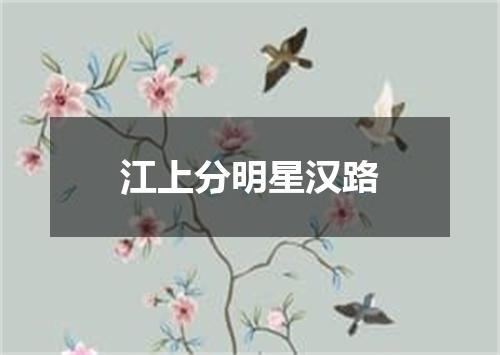 江上分明星汉路