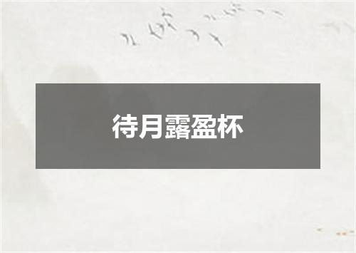 待月露盈杯