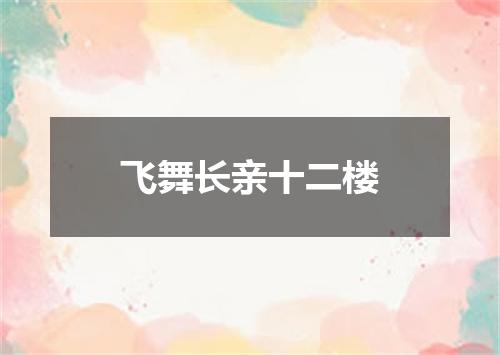 飞舞长亲十二楼
