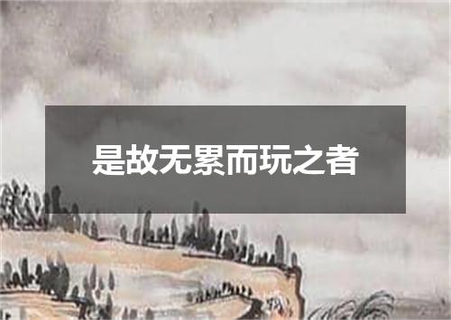 是故无累而玩之者