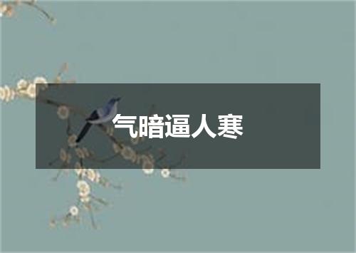 气暗逼人寒