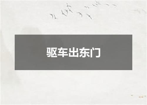 驱车出东门