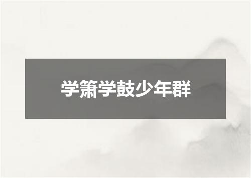 学箫学鼓少年群